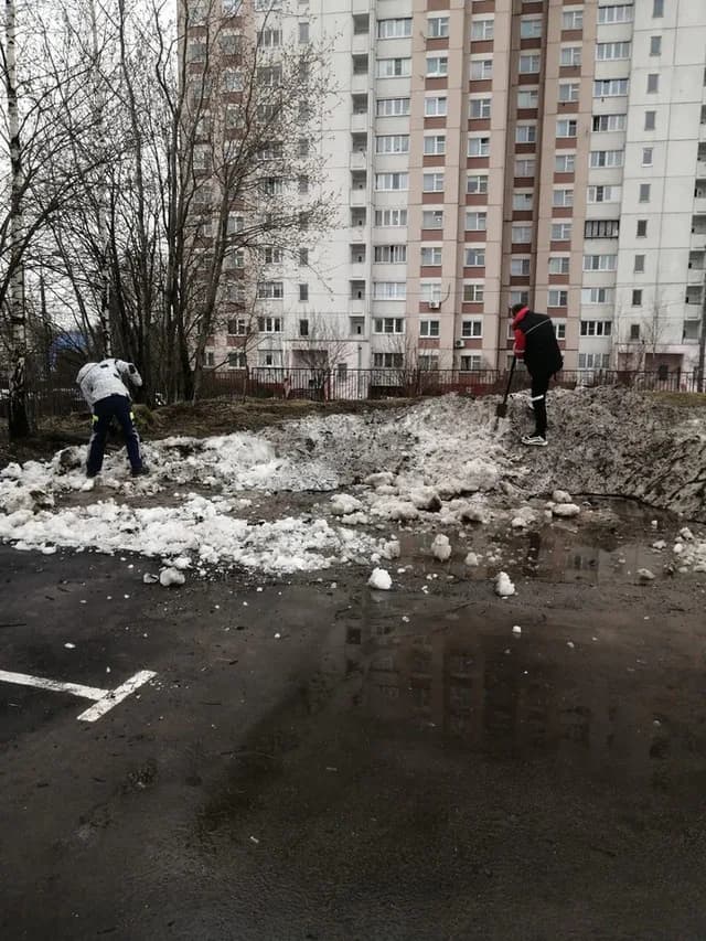 Общеобластной субботник - 2022